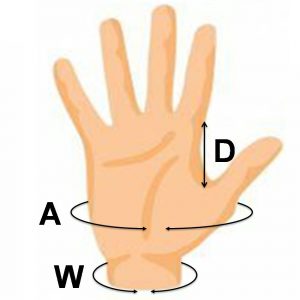 medidas de guantes